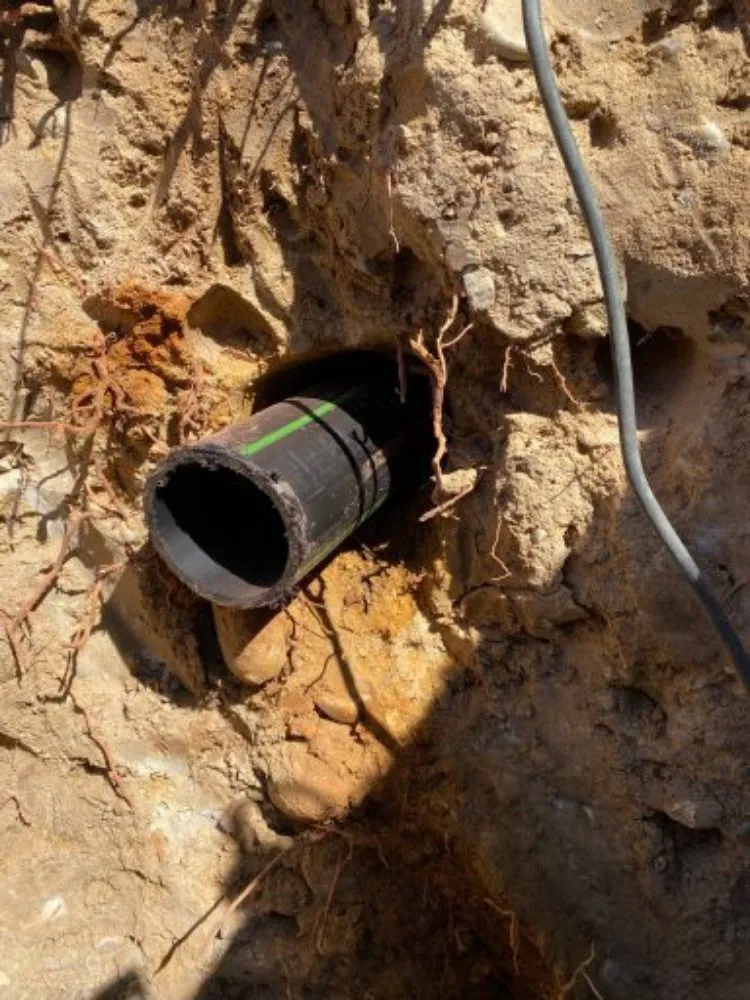 Slide of Castro Clear Vision