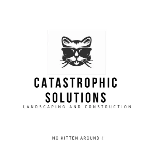 Slide of Catastrophic Solutions