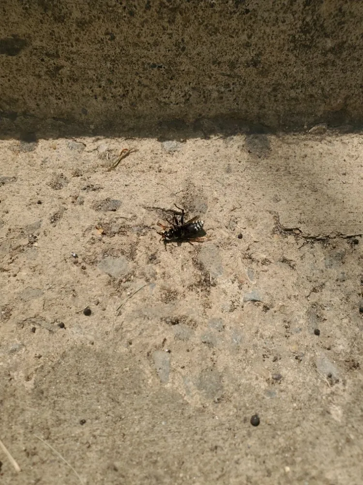 Slide of C&C Handyman Services