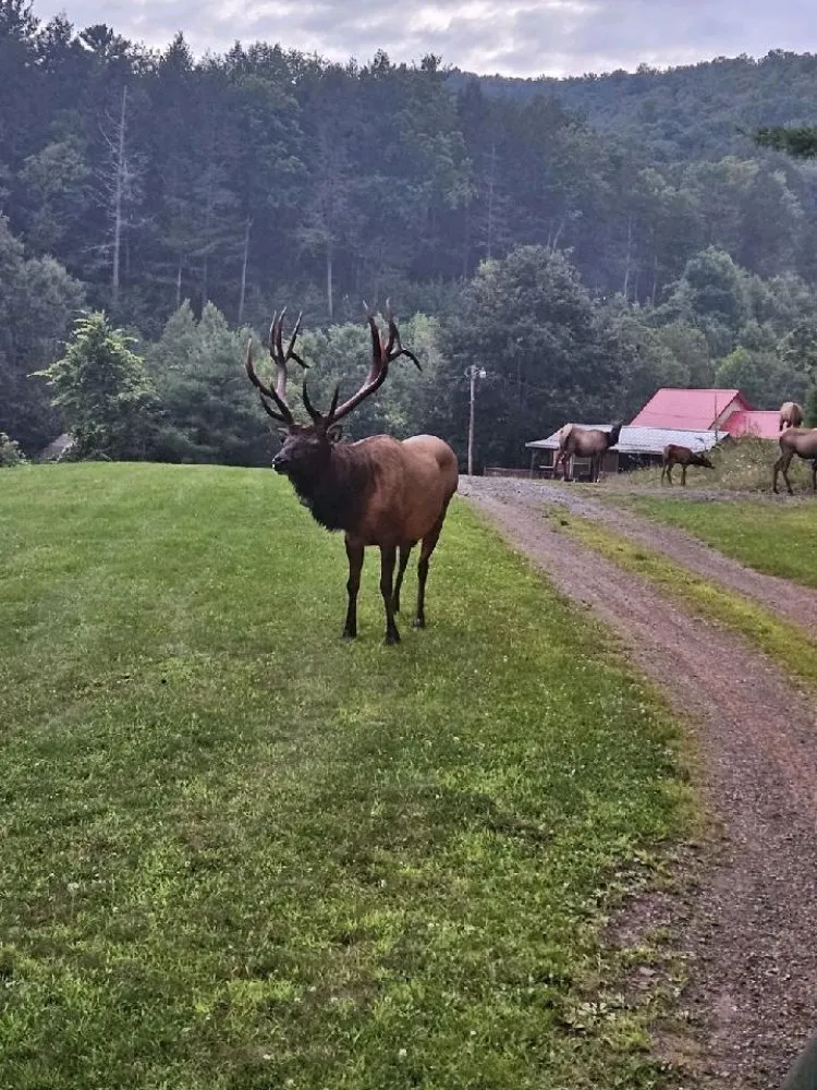 Professional pipe repair for homes in Pylesville, MD by CE Campbell Plumbing & Heating