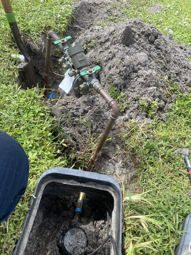 Slide of Ceared Options