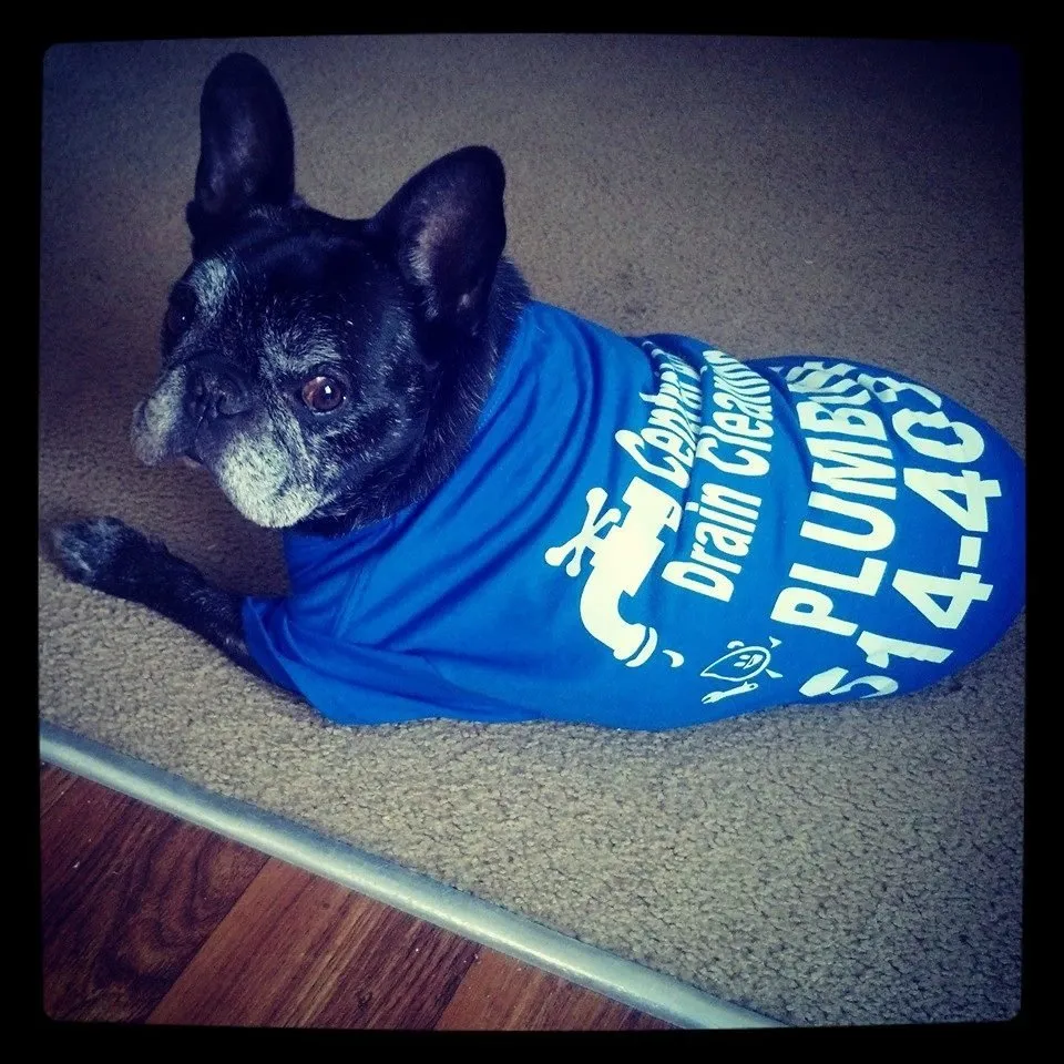 Slide of Central Arkansas Drain Cleaning & Plumbing