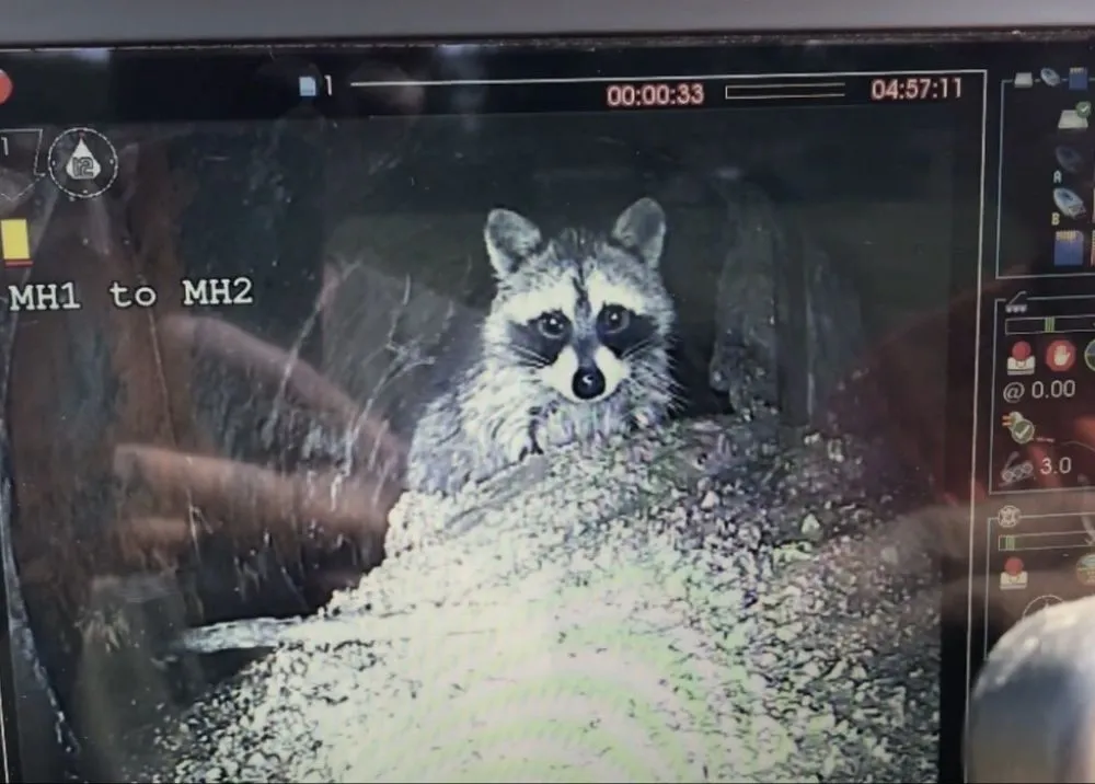 Slide of Central Drain Service