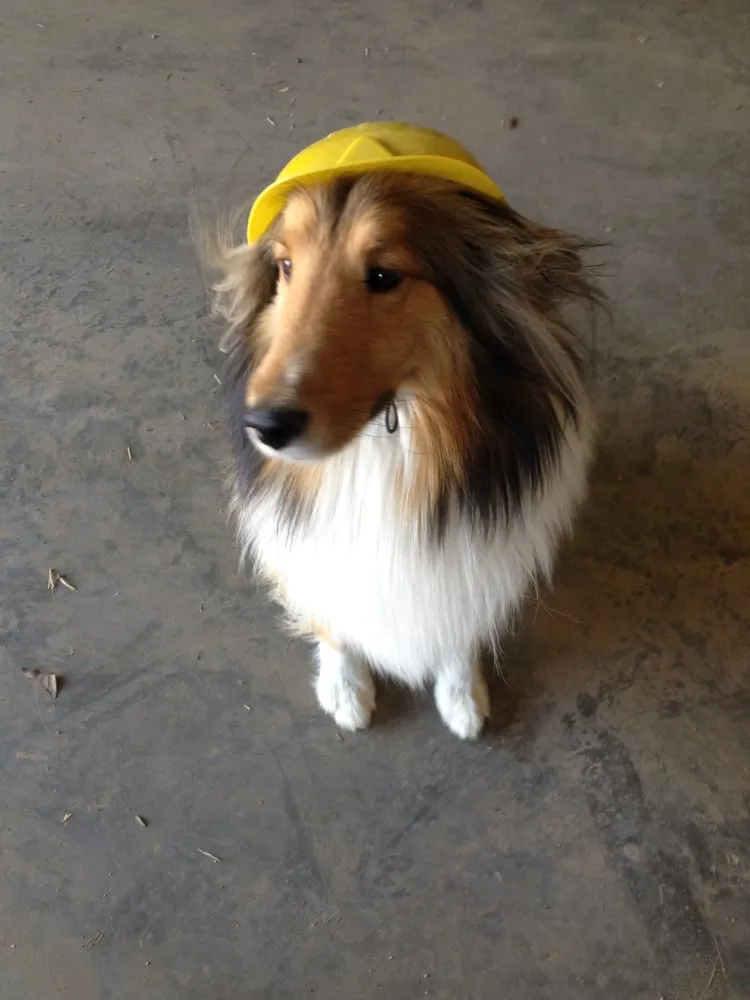 Slide of Central MO All Service Plumbing