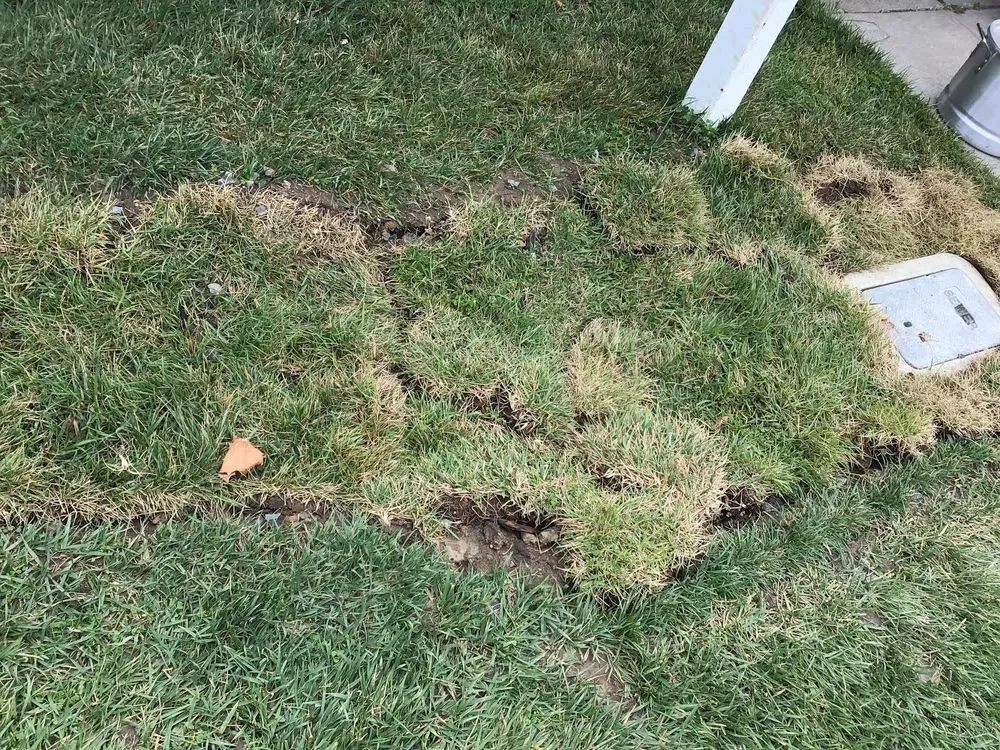 Slide of Central Plumbing & Sewers