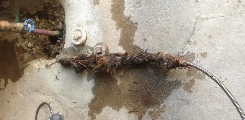 Slide of Central Sewer Service