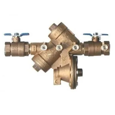 Slide of Central Valley Backflow