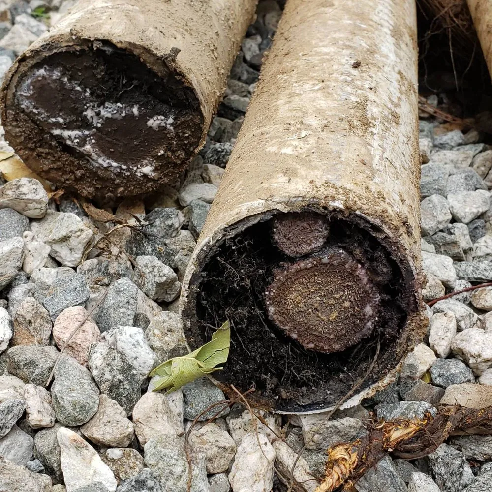 Slide of Century Rooter Service & Plumbing