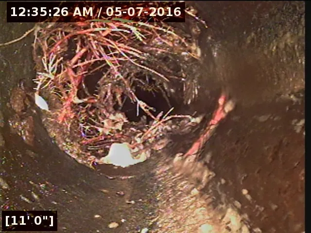 Slide of Century Rooter Service & Plumbing