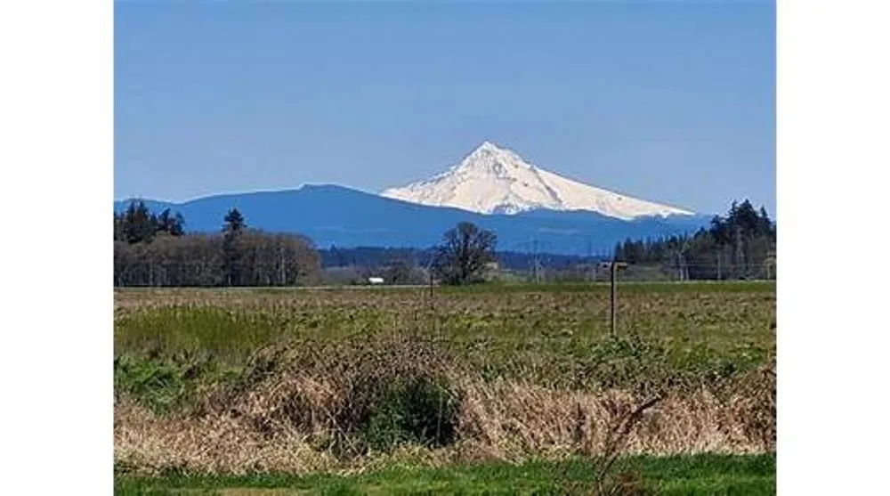 Slide of Certified Testing Services