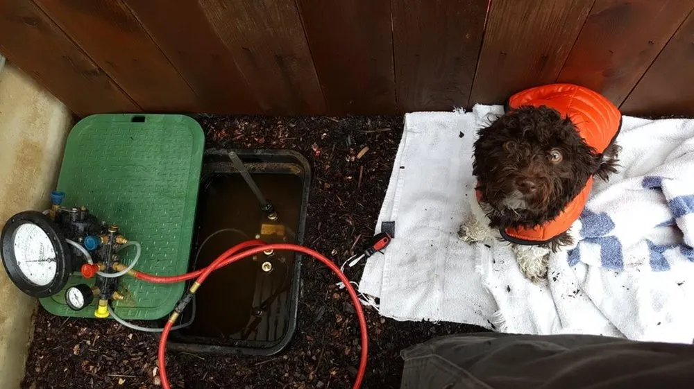 Slide of Certified Testing Services