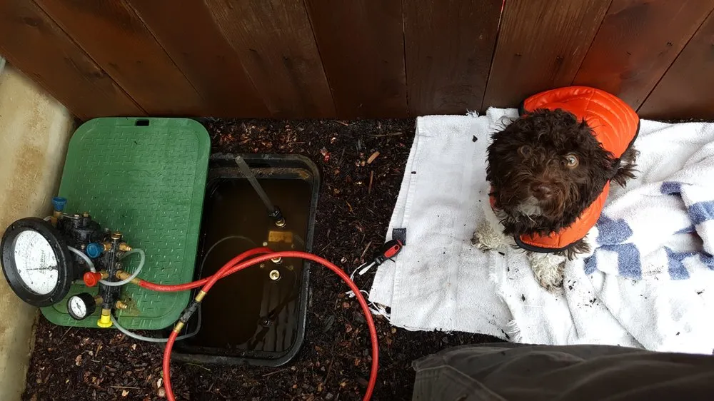 Slide of Certified Testing Services