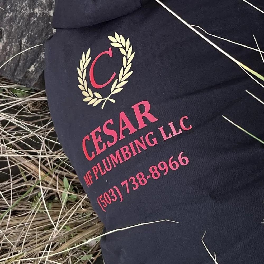 Slide of Cesar MF Plumbing
