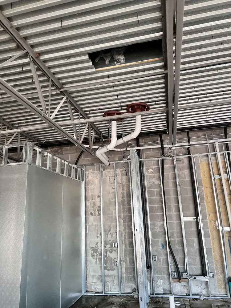 Slide of Cesar Plumber