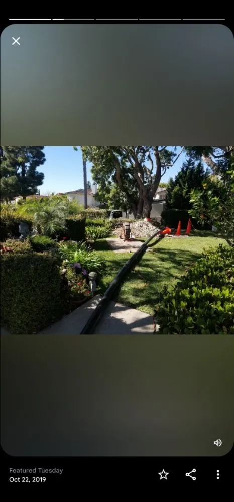 Slide of Cesar's Rooter Service