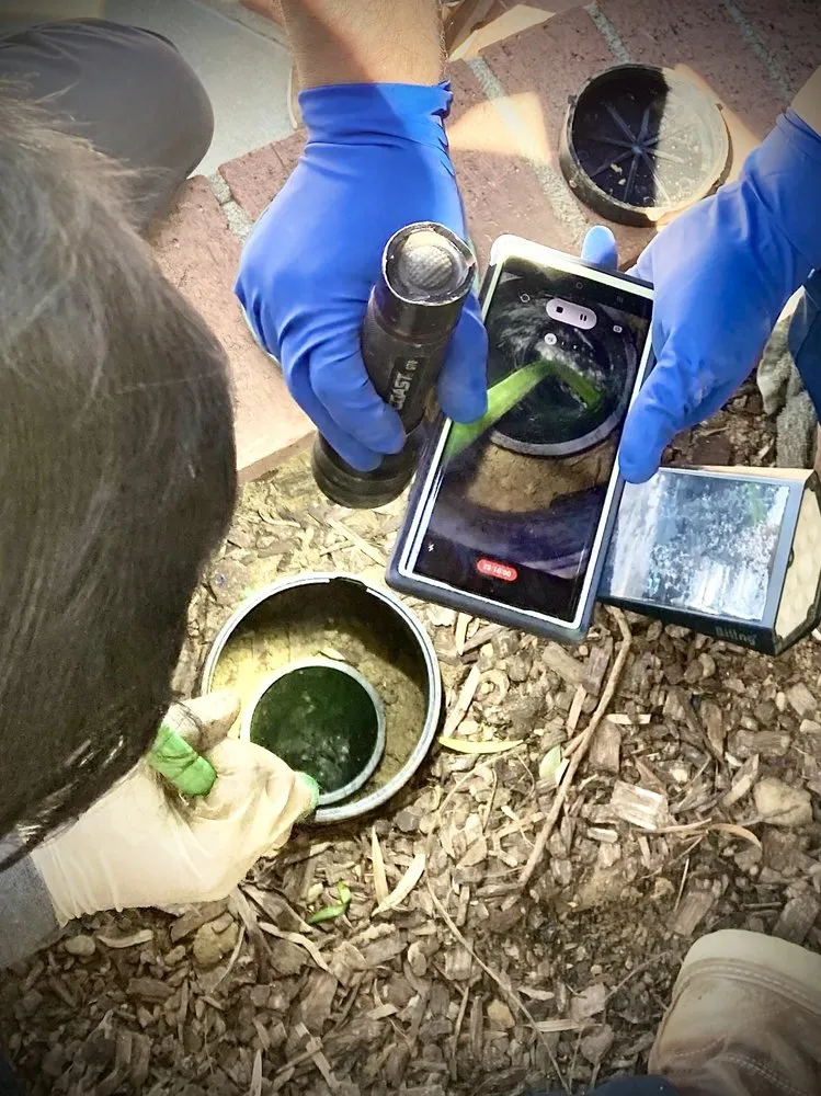 Slide of Cesar's Rooter Service