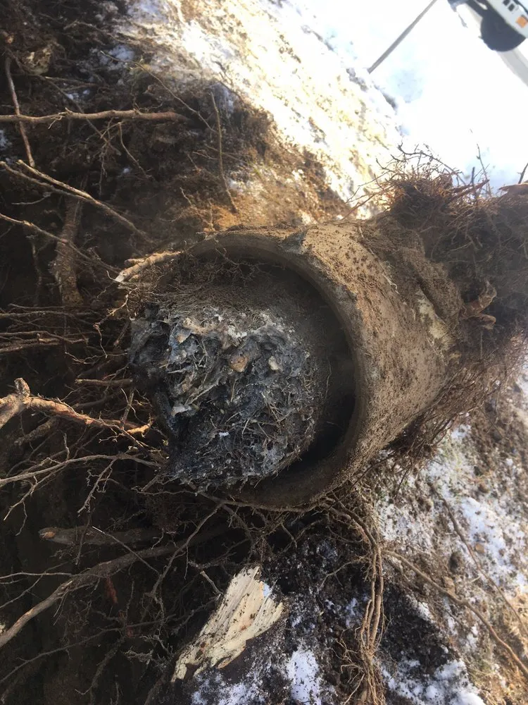 Slide of Cesspool Pros