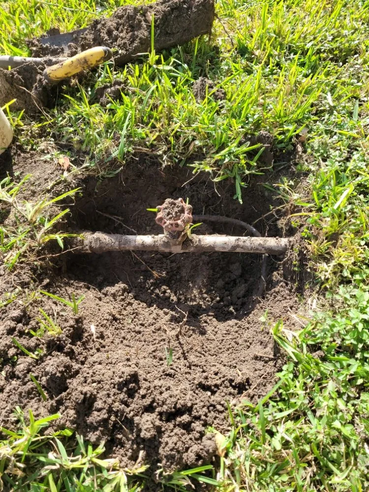 Slide of CF Handyman