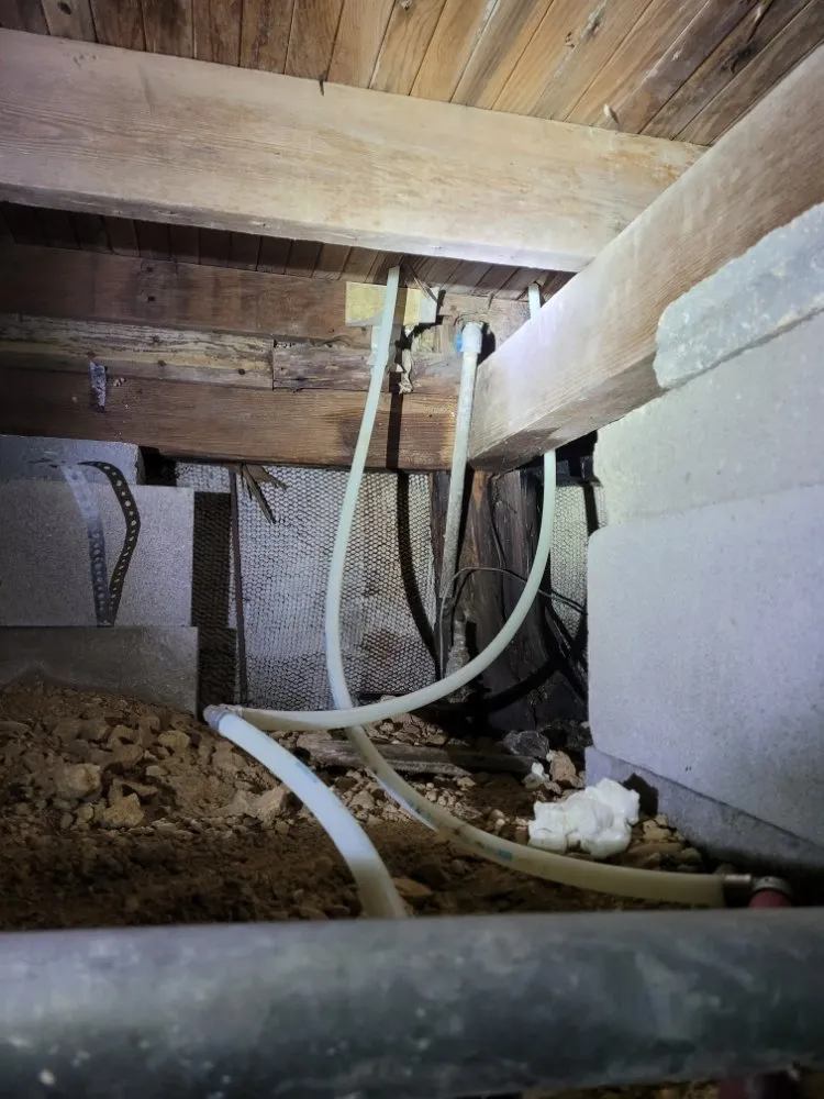 Slide of CF Handyman