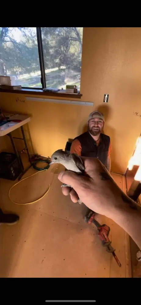 Slide of CG Plumbing