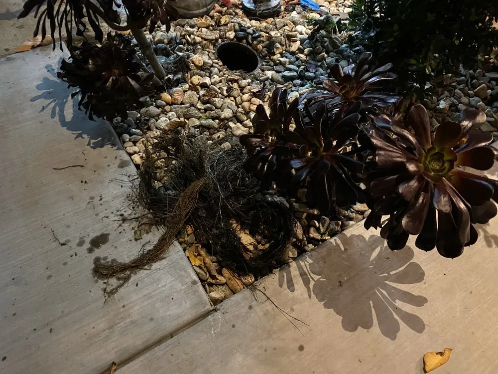 Slide of CGS Plumbing