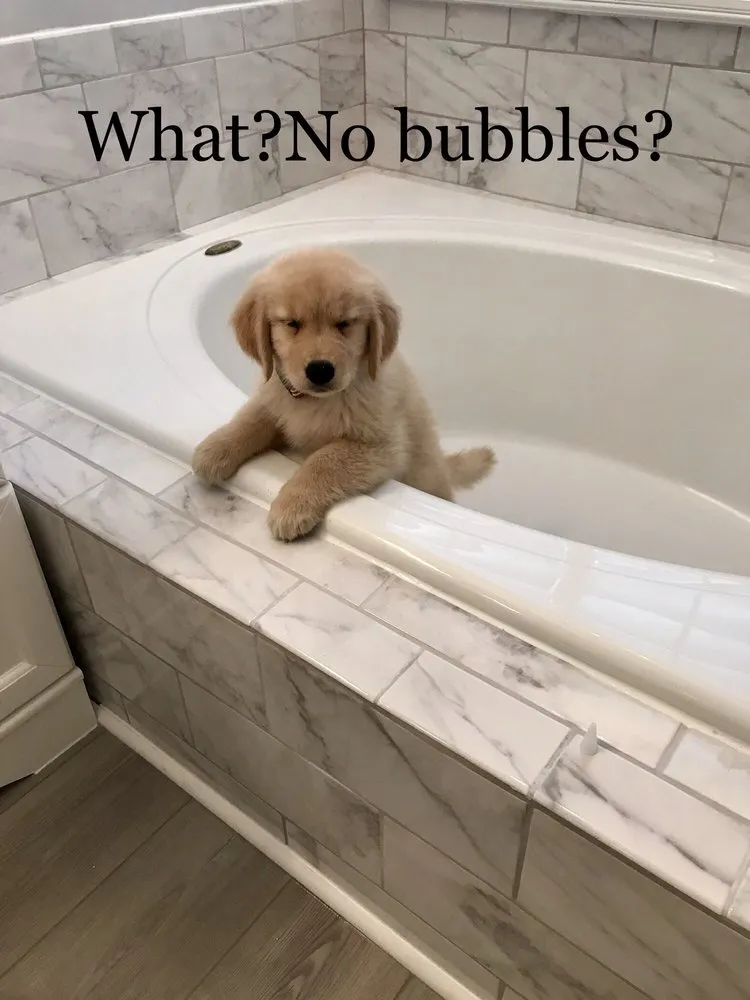 Slide of Chad Harvey Home Improvements