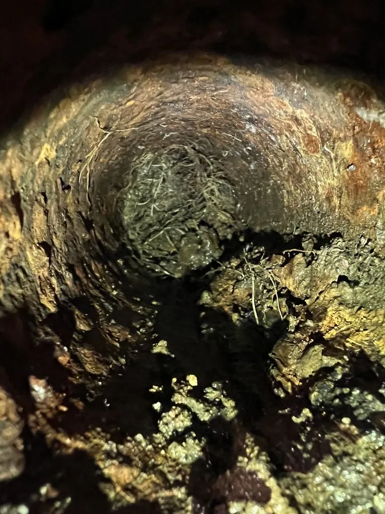 Slide of Champ Plumbing & Rooter