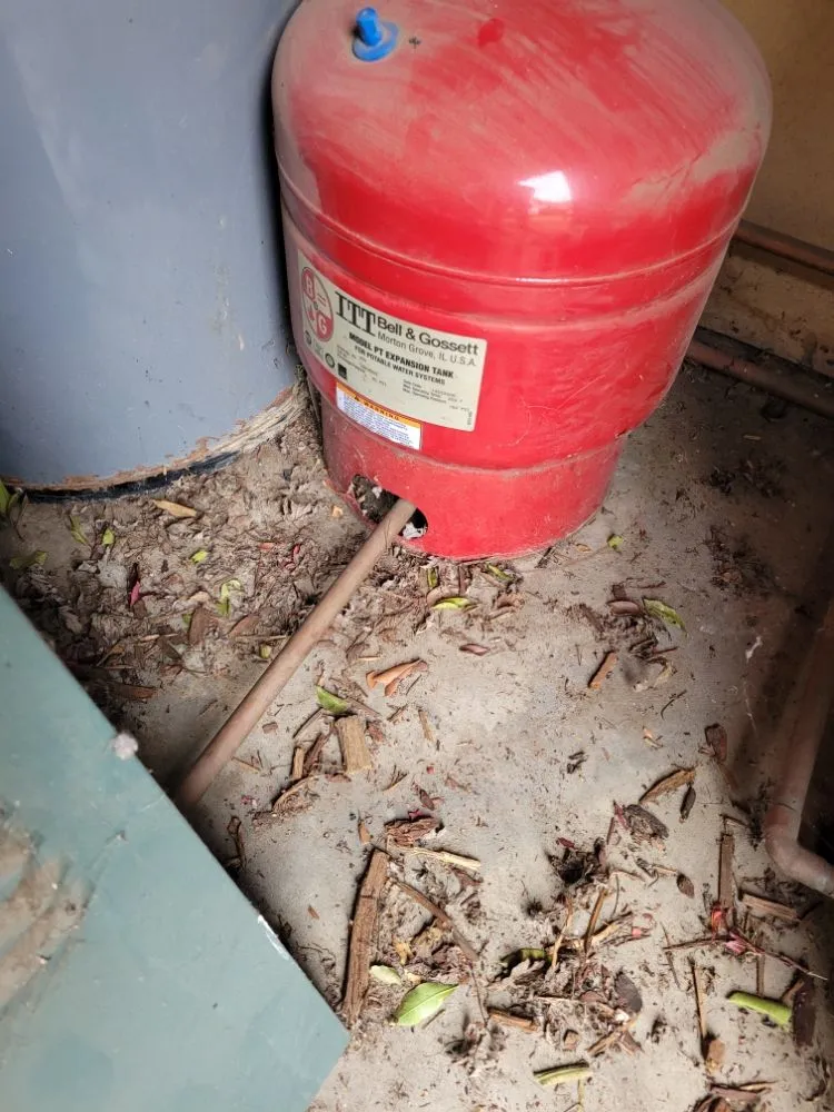 Slide of Champ Rooter & Drain