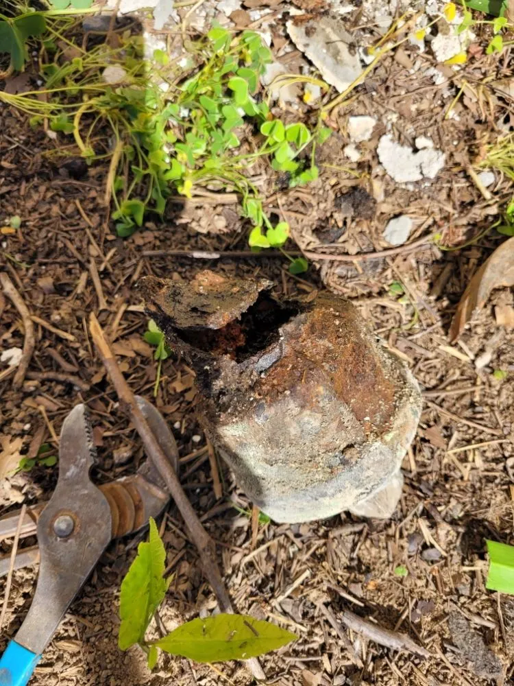 Slide of Champ Rooter & Drain