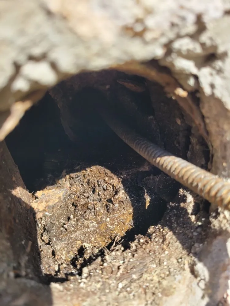 Slide of Champ Rooter & Drain