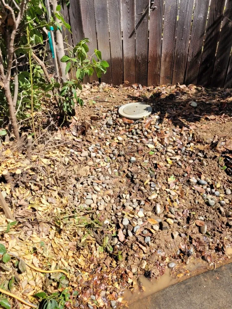 Slide of Champ Rooter & Drain