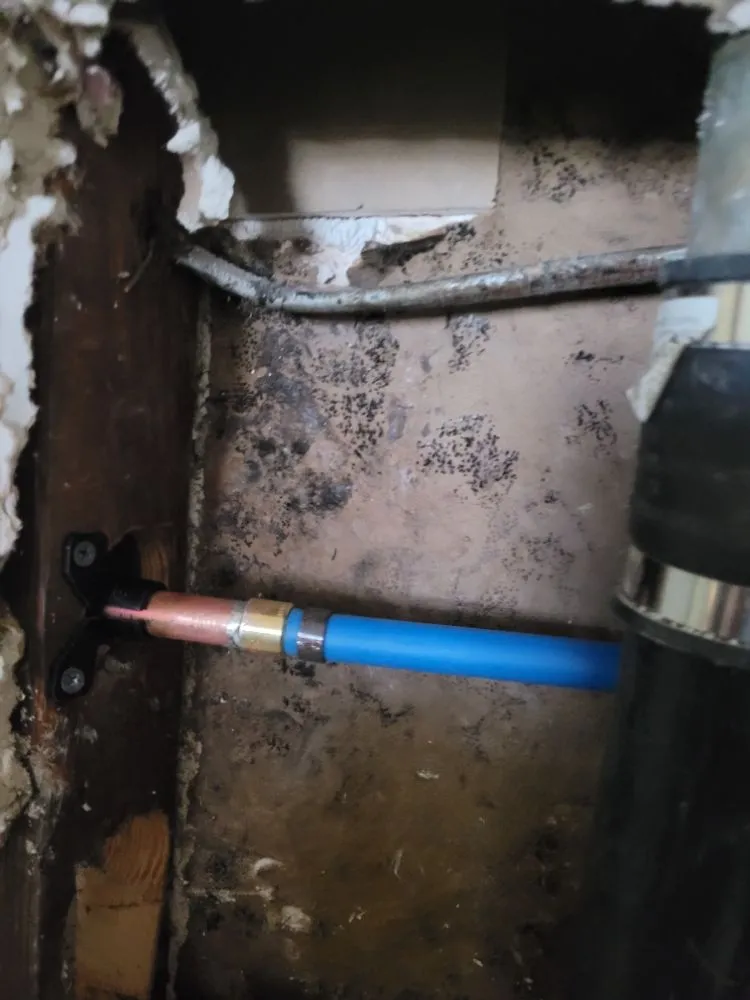 Slide of Champ Rooter & Drain