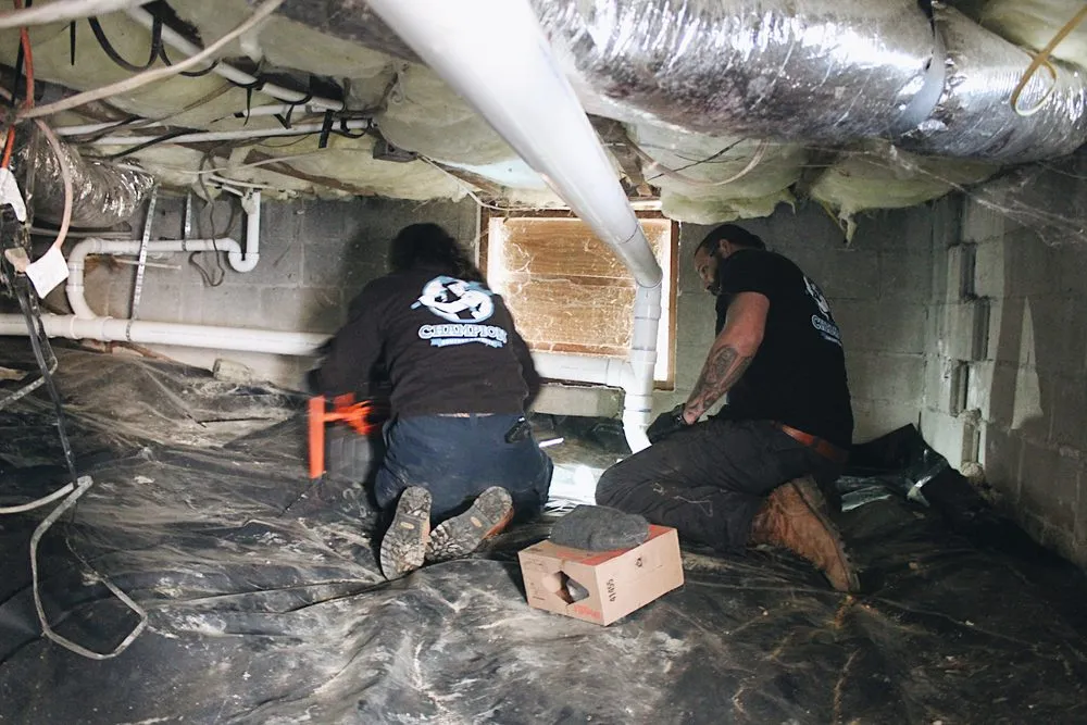 Expert leak detection in Greenville, SC by Champion Comfort Experts