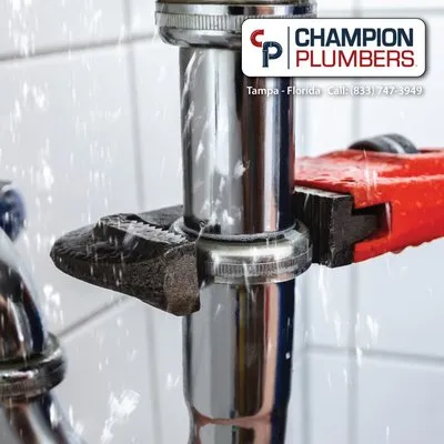 Champion Plumbers Logo