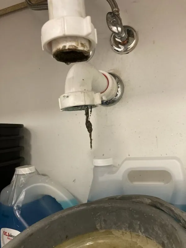Top-rated leak detection in Silver Spring, MD by Champion Plumbing & Drains