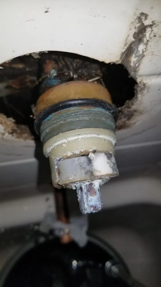 Slide of Champion Plumbing And Drain Specialist