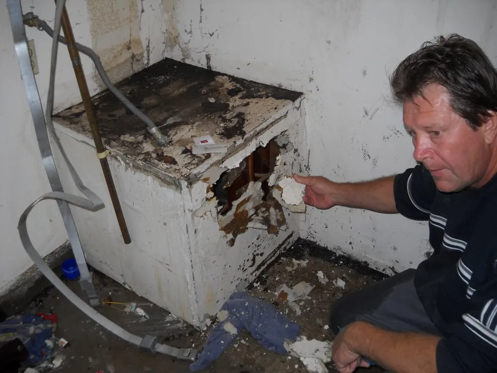 Slide of Champion Plumbing and Rooter