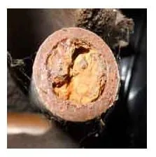 Slide of Champion Plumbing and Rooter