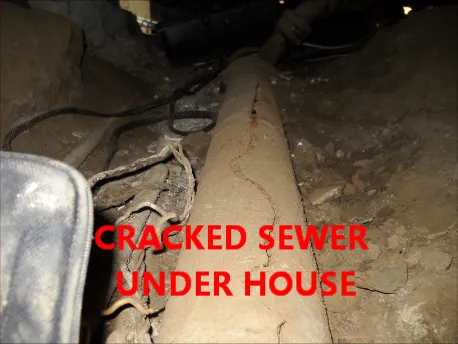 Emergency emergency plumbing for homes in Los Angeles, CA by Champion Plumbing and Rooter