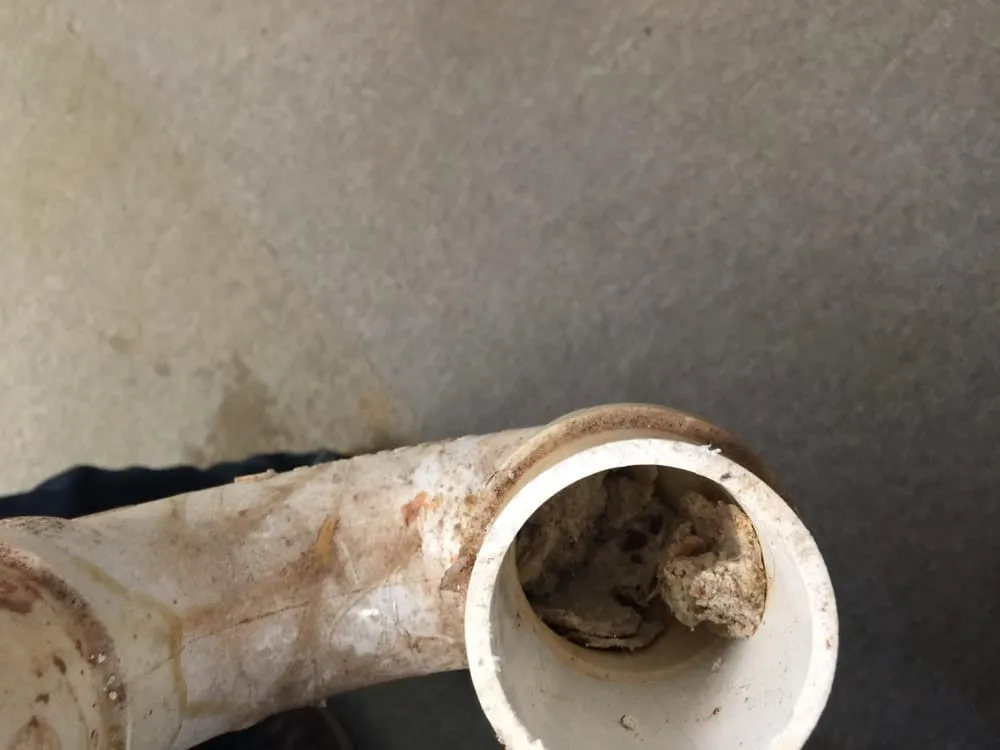 Slide of Champion Plumbing Contractors