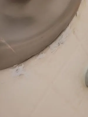 Champion Plumbing Logo