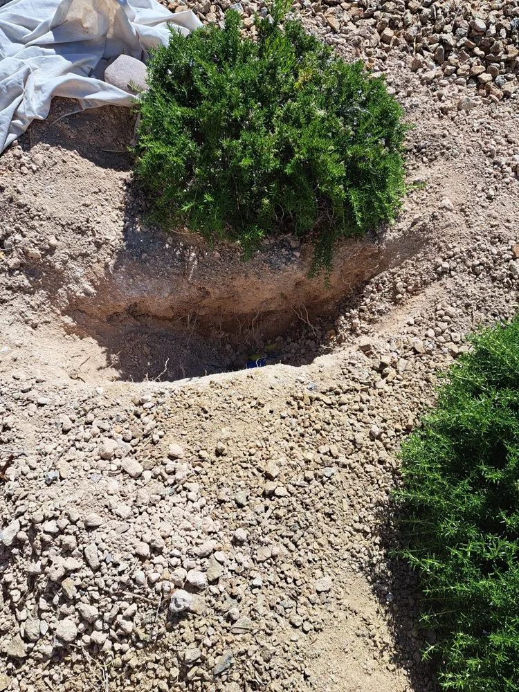 Slide of Champion Services