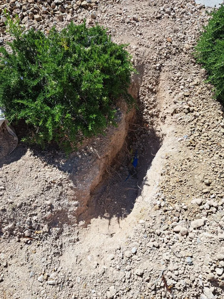 Slide of Champion Services