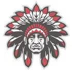 Slide of Champion Teck