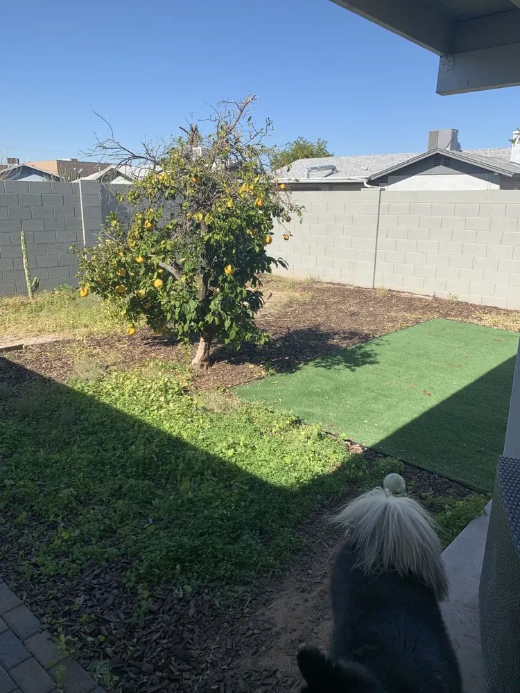 Slide of Chandler Lawn & Gardens