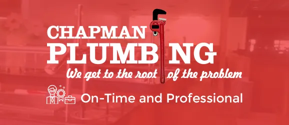 Expert water heater service in Shannon, AL by Chapman Plumbing