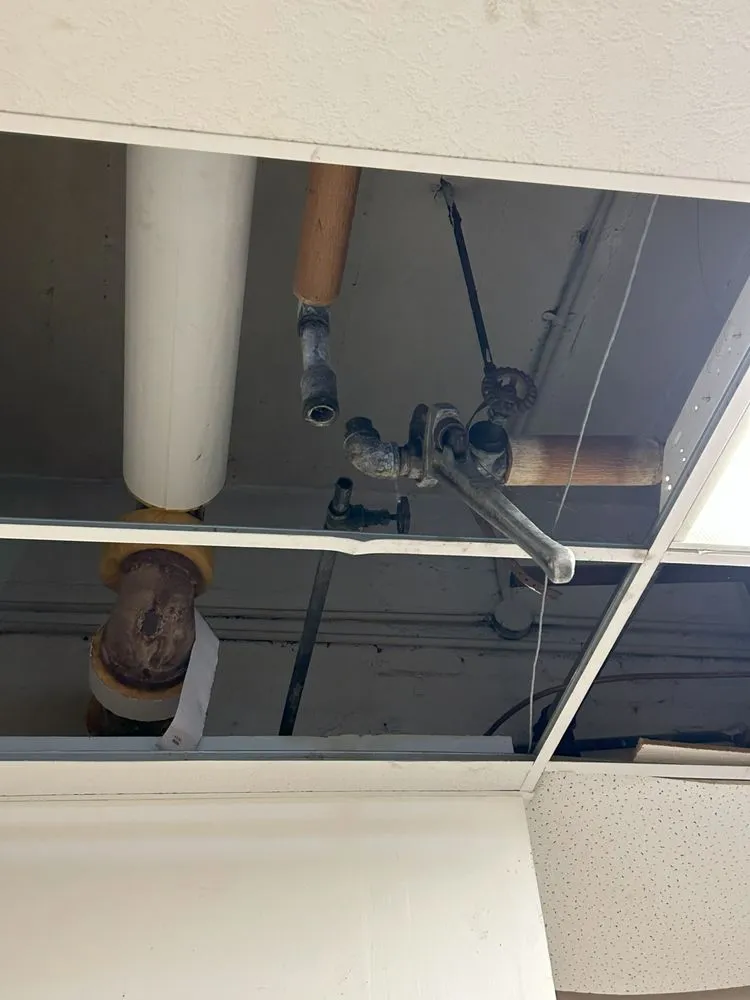 Slide of Chapman Pro Services