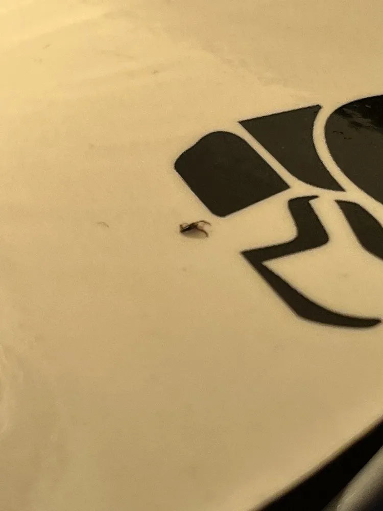 Slide of Charisma Property Management