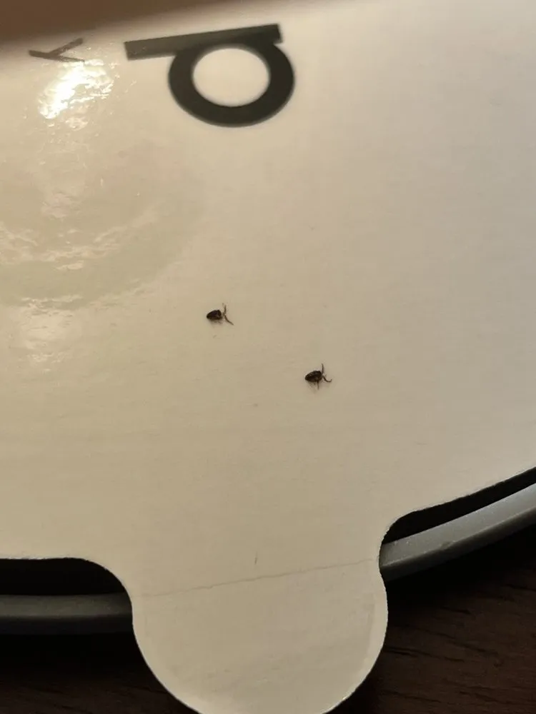 Slide of Charisma Property Management