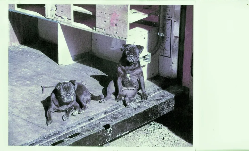 Slide of Charles Plumbing Service